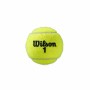 Tennisbollar Wilson Roland Garros All Court Gul