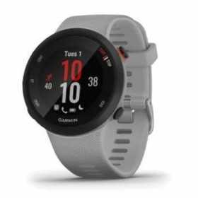 Smartwatch GARMIN Forerunner 45 Plus Grau 1,04"