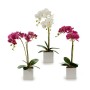 Dekorationspflanze Orchidee 18 x 47 x 14 cm Kunststoff (6 Stück)