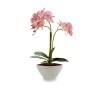 Plante décorative Orchidée 16 x 49 x 28 cm Plastique (4 Unités)