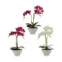 Decorative Plant Orchid 16 x 49 x 28 cm Plastic (4 Units)