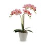 Dekorationspflanze Orchidee Kunststoff 20 x 49 x 26 cm (4 Stück)