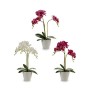 Decorative Plant Orchid Plastic 20 x 49 x 26 cm (4 Units)