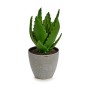 Dekorationspflanze Aloe Vera 14 x 21 x 14 cm Grau grün Kunststoff (6 Stück)