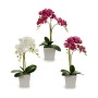 Plante décorative Orchidée 20 x 47 x 33 cm Plastique (4 Unités)