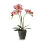 Decorative Plant Orchid 19 x 48 x 24 cm Plastic (4 Units)