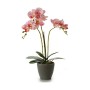 Plante décorative Orchidée 19 x 48 x 24 cm Plastique (4 Unités)