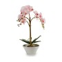 Plante décorative Orchidée Plastique 20 x 60 x 28 cm (2 Unités)