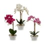 Plante décorative Orchidée Plastique 20 x 60 x 28 cm (2 Unités)