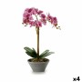 Plante décorative Orchidée 16 x 48 x 28 cm Plastique (4 Unités)