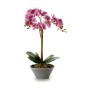 Decorative Plant Orchid 16 x 48 x 28 cm Plastic (4 Units)
