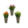 Dekorationspflanze Stachel Kunststoff 10 x 20 x 10 cm (12 Stück)