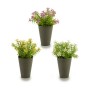 Decorative Plant Flower Plastic 12 x 19 x 12 cm (12 Units)