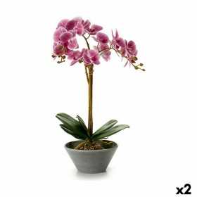 Dekorationspflanze Orchidee 20 x 60 x 28 cm (2 Stück)