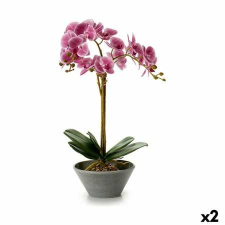 Plante décorative Orchidée 20 x 60 x 28 cm (2 Unités)