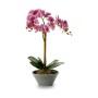 Dekorationspflanze Orchidee 20 x 60 x 28 cm (2 Stück)