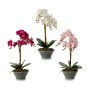 Plante décorative Orchidée 20 x 60 x 28 cm (2 Unités)