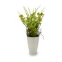 Decorative Plant Flower Plastic 12 x 30 x 12 cm (12 Units)