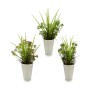 Plante décorative Fleur Plastique 12 x 30 x 12 cm (12 Unités)