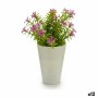 Plante décorative Fleur 12 x 20 x 12 cm Plastique (12 Unités)