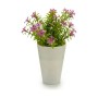 Plante décorative Fleur 12 x 20 x 12 cm Plastique (12 Unités)