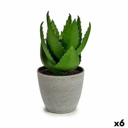 Plante décorative Aloe Vera 15 x 23,5 x 15 cm Gris Vert Plastique (6 Unités)