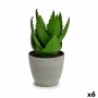 Dekorativ växt Aloe Vera 15 x 23,5 x 15 cm Grå Grön Plast (6 antal)