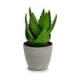 Dekorativ växt Aloe Vera 15 x 23,5 x 15 cm Grå Grön Plast (6 antal)