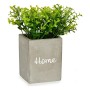 Decorative Plant Home Grey Cement Green Plastic 13 x 20 x 13 cm (6 Units)