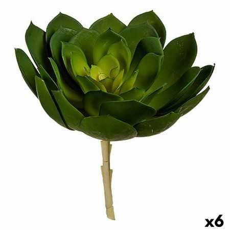 Plante décorative 22 x 19 x 19 cm Vert Plastique (6 Unités)