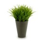 Dekorationspflanze Kunststoff 11 x 18 x 11 cm grün Grau (12 Stück)