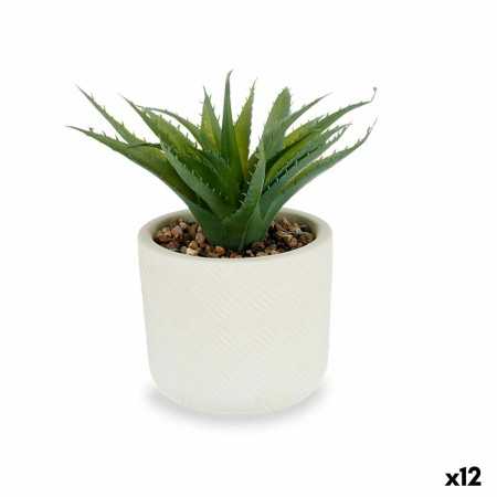 Dekorationspflanze Sukkulente Kunststoff 14 x 18 x 14 cm (12 Stück)