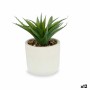 Decorative Plant Succulent Plastic 14 x 18 x 14 cm (12 Units)