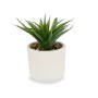 Decorative Plant Succulent Plastic 14 x 18 x 14 cm (12 Units)