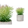 Plante décorative Succulent Bois Plastique 12 x 22 x 12 cm (8 Unités)