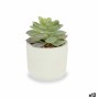 Plante décorative Succulent Plastique 14 x 13,5 x 14 cm (12 Unités)