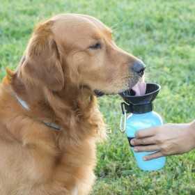 Hundetrinkflasche InnovaGoods (Restauriert C)