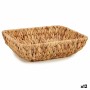 Centerpiece Brown Metal Water hyacinth 30 x 9 x 22 cm (12 Units)