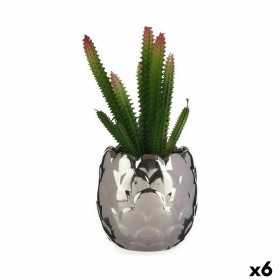 Dekorativ växt Kaktus Keramik Plast 10 x 20 x 10 cm (6 antal)