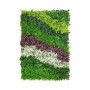 Kit de jardin vertical Fleurs Campagne Multicouleur Plastique 100 x 5 x 150 cm (8 Unités)