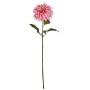 Decorative Flower Dahlia Pink 16 x 74 x 16 cm (6 Units)