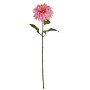 Fleur décorative Dahlia Rose 16 x 74 x 16 cm (6 Unités)