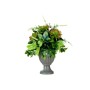 Plante décorative Verre Plastique 25 x 36 x 25 cm (4 Unités)