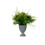 Plante décorative Verre Plastique 21 x 30 x 21 cm (6 Unités)