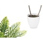 Dekorationspflanze Palme Kunststoff 36 x 55,5 x 24 cm (6 Stück)