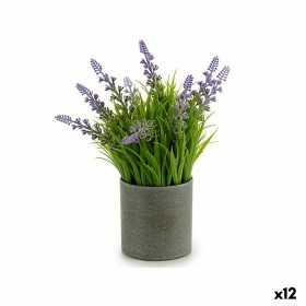 Dekorativ växt Lavendel Cement Plast 12 x 23 x 12 cm (12 antal)