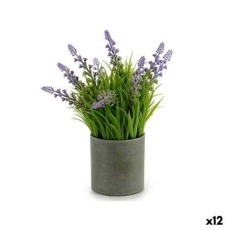 Plante décorative Lavande Ciment Plastique 12 x 23 x 12 cm (12 Unités)