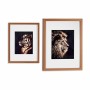 Cadre Tigre Lion verre Contre-plaqué 33 x 43 x 3 cm (8 Unités)