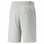 Herren-Sportshorts Puma Essentials+ 2 Cols 10 Grau