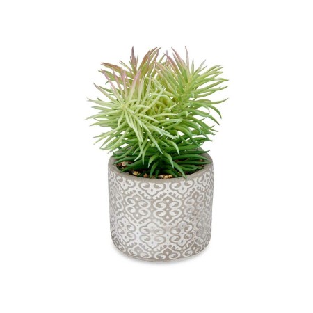 Plante décorative Gris Marron Vert Plastique (12 x 22 x 12 cm)